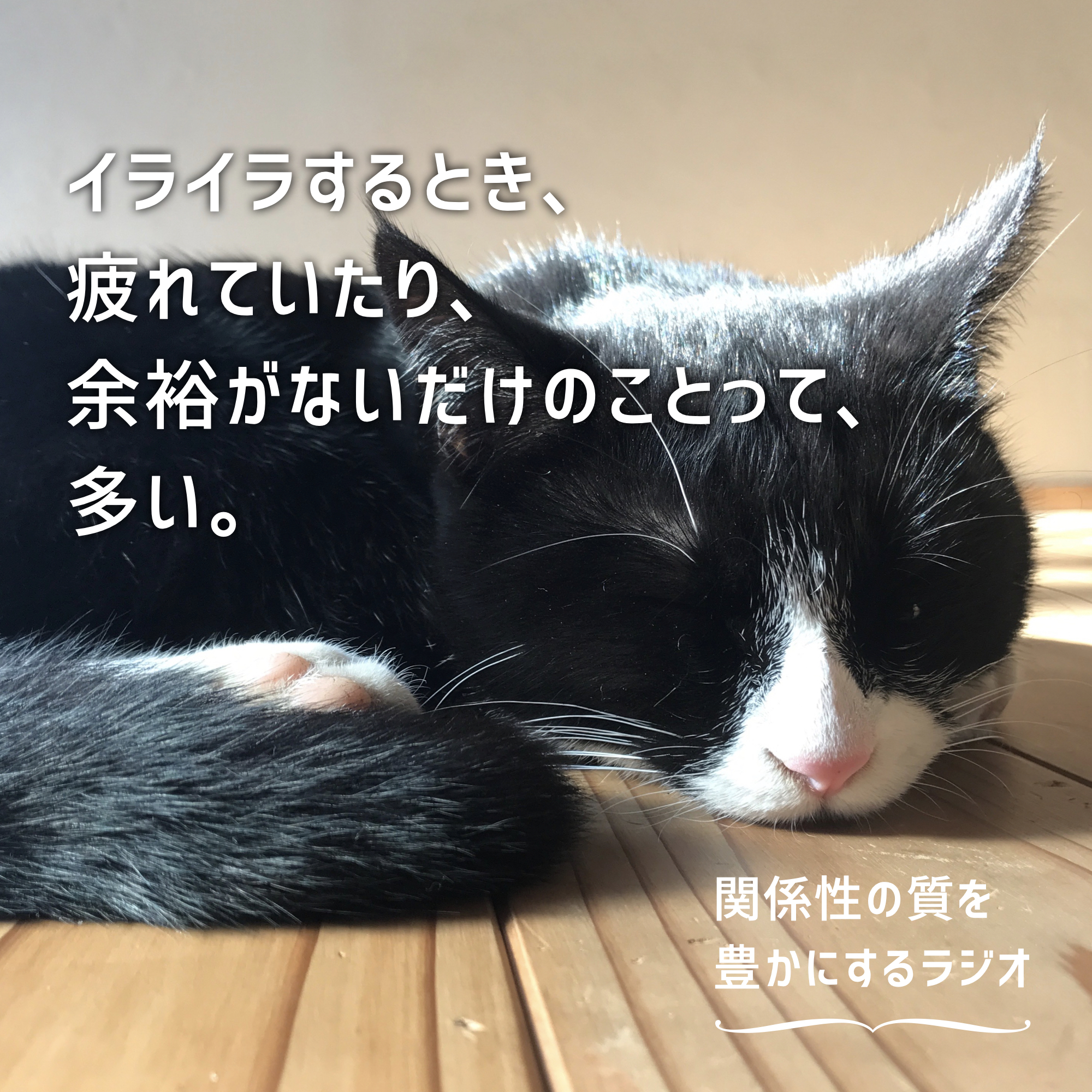 イライラするとき 疲れていたり 余裕がないだけのことって 多い ひとつまみの希望